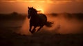 Silhouette of brown wild horse running in the desert, evening sunset golden hour, nature blur background