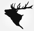 Silhouette of the buck`s head