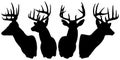 Silhouette of bucks