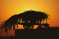 Silhouette of a a bullock cart with cattle feed on it Indian village life Royalty Free Stock Photo