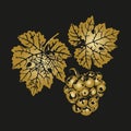 Silhouette of bunch of grapes and leaves close up, golden on black background.