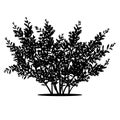 Silhouette bush with leaves and shadow