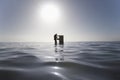 Silhouette of business man opening filing cabinet standing in middle os sea side view Royalty Free Stock Photo