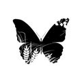 Silhouette of butterfly with grass Royalty Free Stock Photo