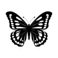 Silhouette of butterfly. Monochrome vector illustration