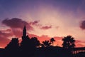 Silhouette of Buyuk Cami Mosque and palm trees against colorful sky at sunset.