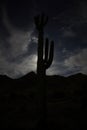 Silhouette of cactus plant on the mountain peak at dawn Royalty Free Stock Photo