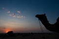 Silhouette of a Camel, Camelus dromedarius, at sand dunes of Thar desert, Rajasthan, India. Camel riding is a favourite activity Royalty Free Stock Photo