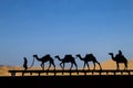 Silhouette of camel caravan Royalty Free Stock Photo