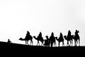 Silhouette of a Camel Caravan in the Sahara Desert in Black and White Royalty Free Stock Photo