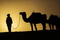 Silhouette of a camel caravan at sunrise in desert Sahara, Morocco Royalty Free Stock Photo