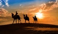 Silhouette camel caravan at the Thar desert Jaisalmer, Rajasthan India at sunset Royalty Free Stock Photo