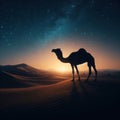 Silhouette of a camel in the desert against the background of a sunset. Royalty Free Stock Photo