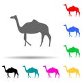 silhouette of a camel multi color style icon. Simple glyph, flat vector of zoo icons for ui and ux, website or mobile application Royalty Free Stock Photo