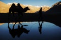 Silhouette camel reflection and snow mountain range Nubra Valley Ladakh ,India Royalty Free Stock Photo