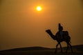 Silhouette of camel ride during sunset, in Thar desert, Jaisalmer, Rajasthan, India, Royalty Free Stock Photo