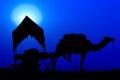 Silhouette camel at sunset in India .