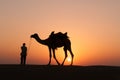 Silhouette camel in Thar desert