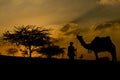 Silhouette of the Camel Trader crossing the sand dune during sun Royalty Free Stock Photo