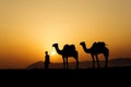 Silhouette of the Camel Trader crossing the sand dune during sun Royalty Free Stock Photo