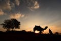 Silhouette of the Camel Trader crossing the sand dune during sunset
