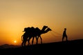 Silhouette of the Camel Trader crossing the sand dune. Royalty Free Stock Photo