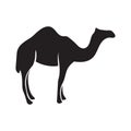 silhouette of camel. Vector illustration decorative design Royalty Free Stock Photo