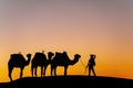 Silhouette Of Camels Against The Sun Rising In The Saraha Desert In Morocco Royalty Free Stock Photo