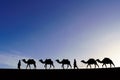 Silhouette of camels, sand dunes of Merzouga Royalty Free Stock Photo