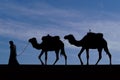 Silhouette of camels, sand dunes of Merzouga Royalty Free Stock Photo