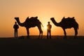 Silhouette camels in Thar desert Royalty Free Stock Photo
