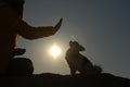 Silhouette of canine obedience concept of young dog female trainer with hand gesture and little chihuahua dog sitting on sunset