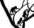 Silhouette of Capucin Monkeys Royalty Free Stock Photo