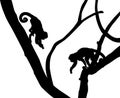 Silhouette of Capucin Monkeys Royalty Free Stock Photo
