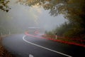 Silhouette of a car on the road through the forest. Nature, road, trip Royalty Free Stock Photo