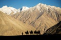 Silhouette of caravan travellers riding camels Nubra Valley Ladakh ,India Royalty Free Stock Photo