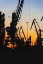 Silhouette of of cargo cranes. Port wharf landscape. Bright sunset, bright sky