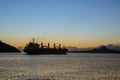 Silhouette of a cargo ship leaving the port of Santos Royalty Free Stock Photo