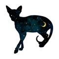 Silhouette Of Cat With Crescent Moon And Stars Isolated. Sticker, Print Or Tattoo Design Vector Illustration. Pagan Totem, Wiccan