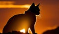 Silhouette of Cat during Golden Hour, Made with Generative AI