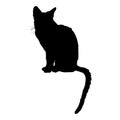 silhouette cat, isolated animal vector