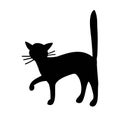 Silhouette of a cat or kitten. Vector isolated silhouette of a cat, logo, print, decorative sticker Royalty Free Stock Photo