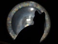 Cat silhouette Royalty Free Stock Photo
