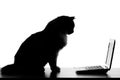 Silhouette of cat with netbook on the table Royalty Free Stock Photo