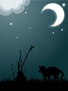 Silhouette of cat in the night Royalty Free Stock Photo