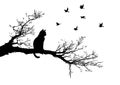 Black Cat Silhouette on Bare Tree Branch with Flying Birds Royalty Free Stock Photo
