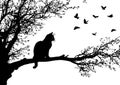 Black Cat Silhouette on Tree Branch Watching Flying Birds Royalty Free Stock Photo