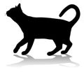 Silhouette Cat Pet Animal Royalty Free Stock Photo