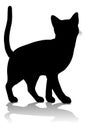 Silhouette Cat Pet Animal Royalty Free Stock Photo