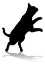 Silhouette Cat Pet Animal Royalty Free Stock Photo